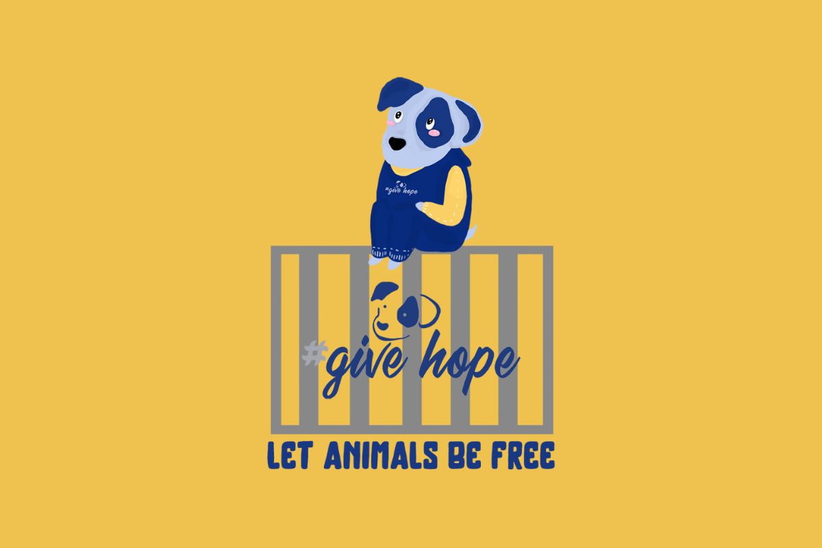 Free captive wild animals