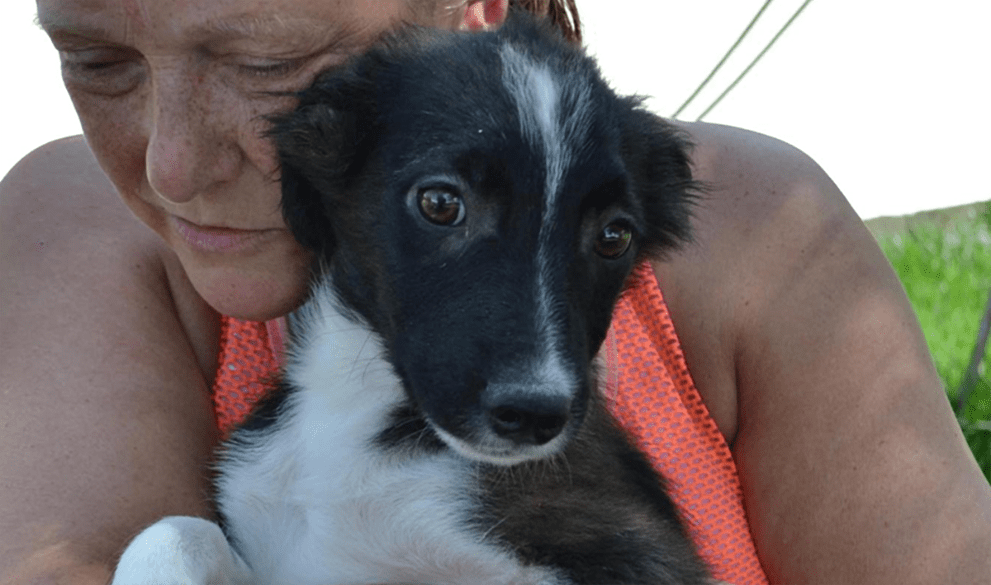 Recycling for Good Causes