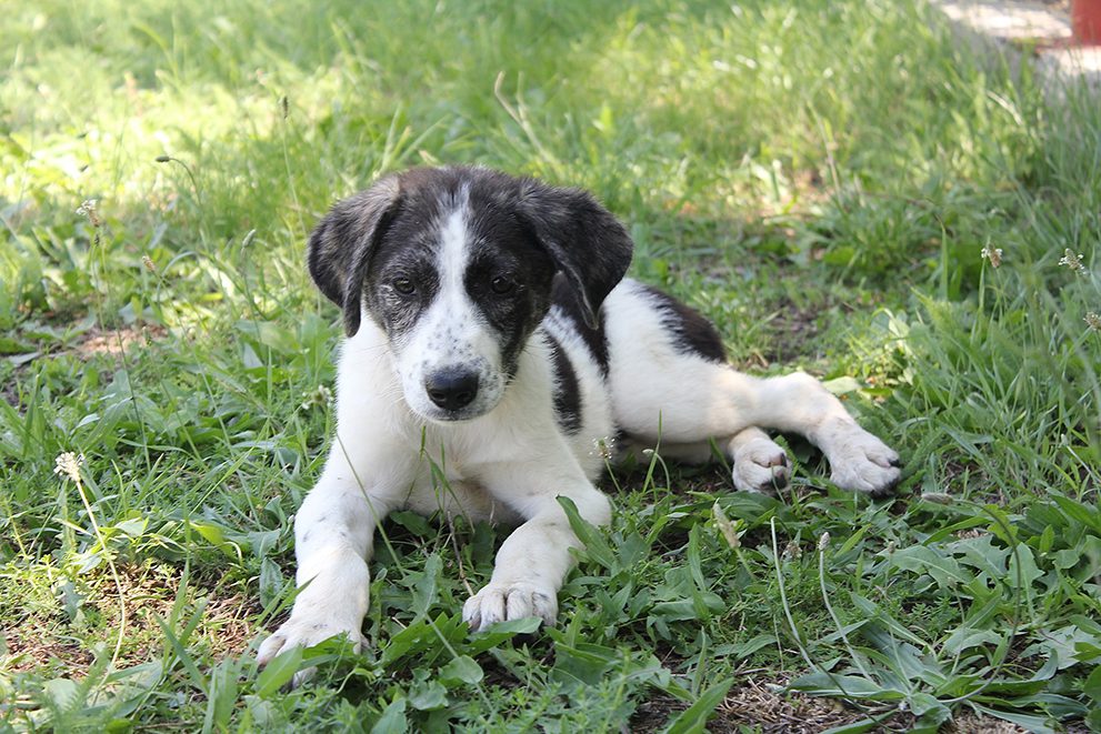 Recycling for Good Causes