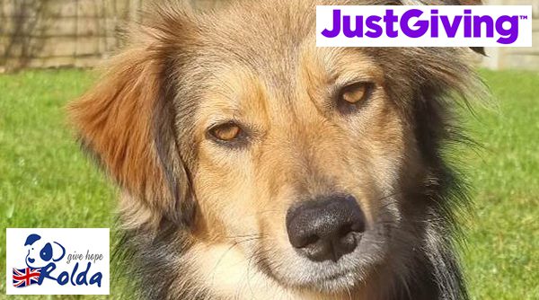 Donate or fundraise on JustGiving