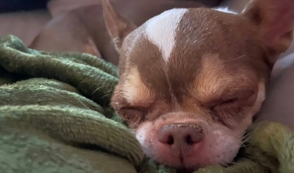 At ROLDA, everything we do begins with purpose