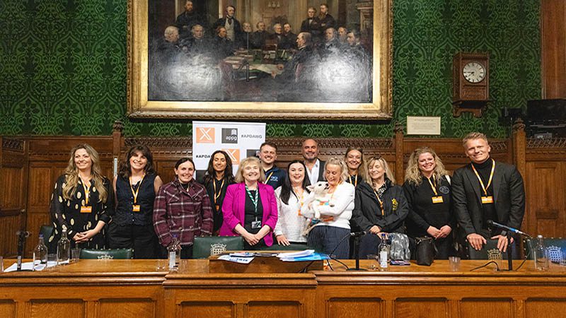 ROLDA UK participation at meeting group APDAWG