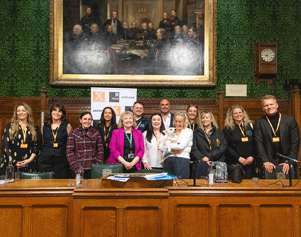 ROLDA UK  in the Houses of Parliament